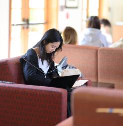 High school girl in armchair with laptop and notepad